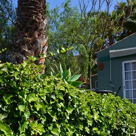 Holiday home La Camuesa-adults Only Los Llanos De Aridane